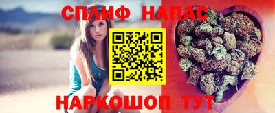 мяу мяу мука Бугуруслан