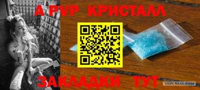мяу мяу мука Бугуруслан