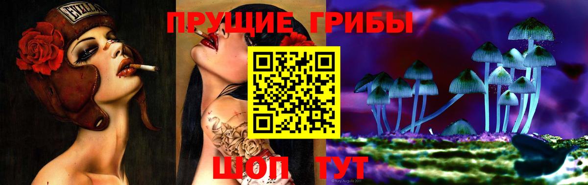 Галлюциногенные грибы Psilocybe  Вход с VPN  Сергиев Посад 